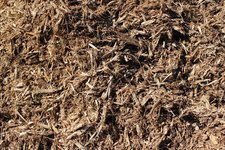 Cottonwood Mulch