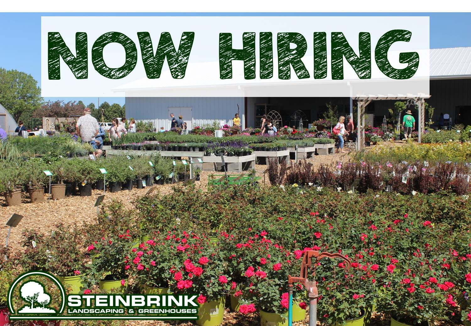 Employment Opportunities Steinbrink Landscaping & Greenhouses