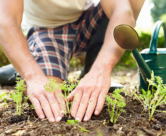 Mulching