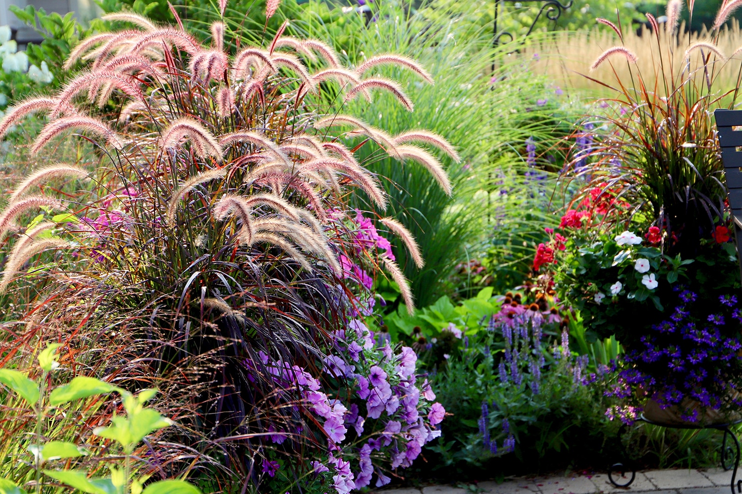 Summer-garden-ornamental-grasses